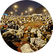 Arafat