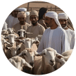 Qurbani